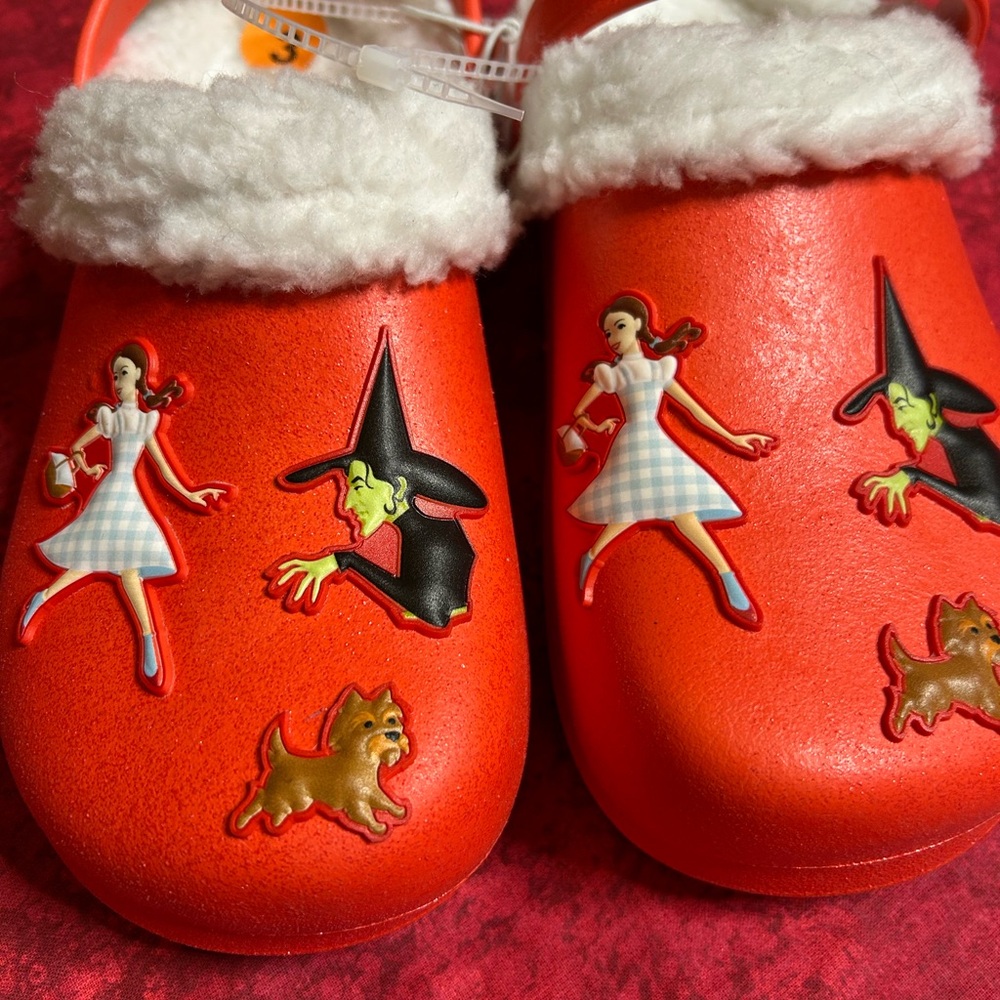 Wizard of oz Slip ons